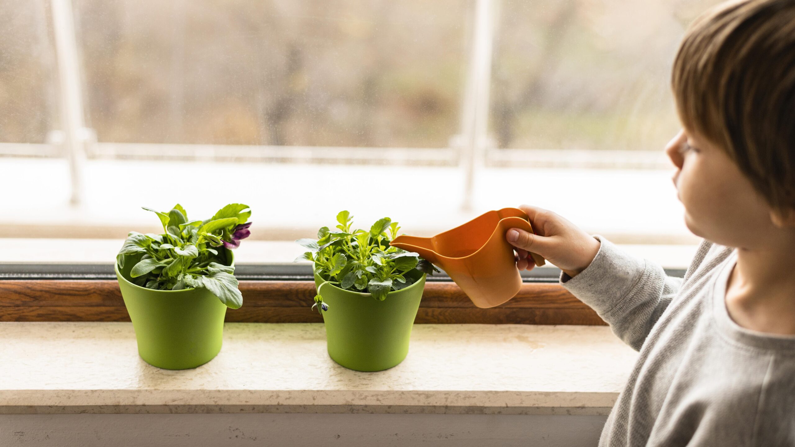 Simple Plant Care Tips to Keep Plants Healthy