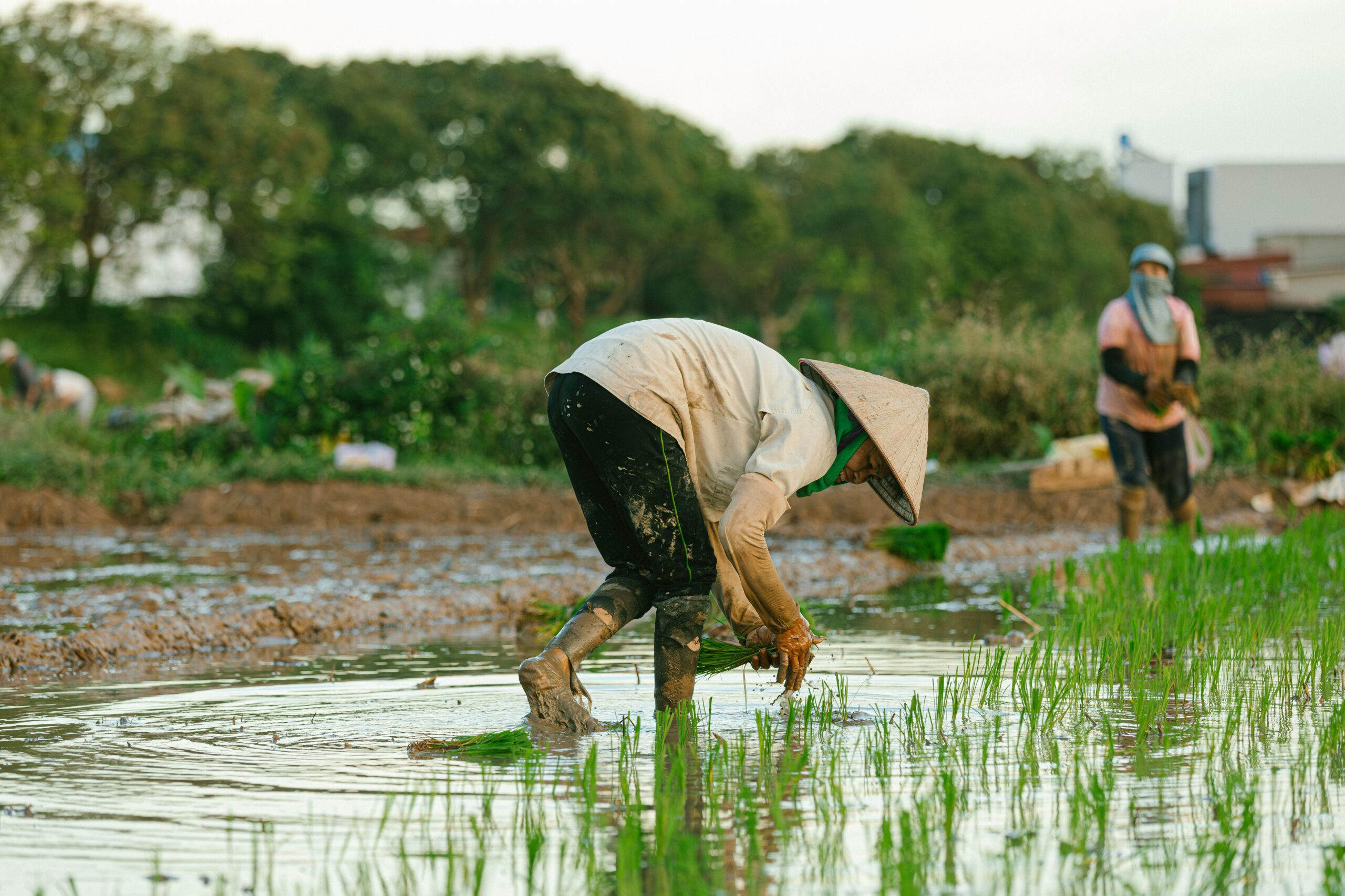 Organic best Control Methods That Actually Work